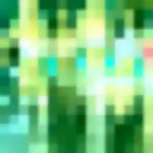 Profil de Éléonore à Afa (23 ans) - rencontre adulte gratuit