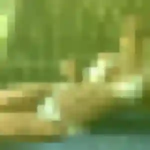 Contacte Modupe, 41 ans à Afa en privé