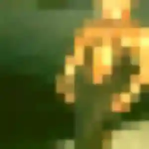 Rencontre Nabou, 29 ans à Aigremont gratuitement