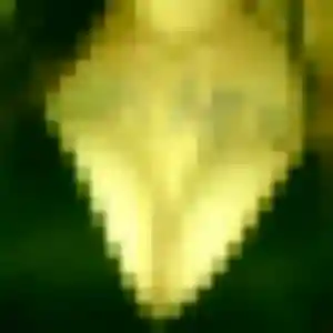 Michèle (39 ans) à Aiserey propose une rencontre ce soir