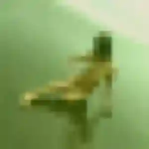 rencontre adulte à Aiserey : profil de Monique, 44 ans - inscription gratuite