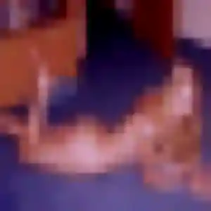Photo sexy de Stéphanie, 45 ans à Ajain - rencontre sans lendemain