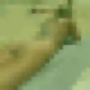 Profil de Yemisi à Albon (28 ans) - rencontre adulte sans inscription