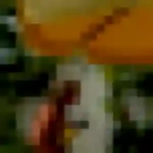 rencontre adulte à Alexain : photo de Fama, 42 ans - accès libre