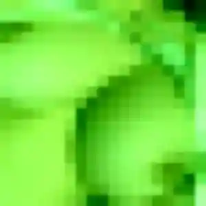 rencontre adulte à Allaire : profil de Éva, 38 ans - sans engagement