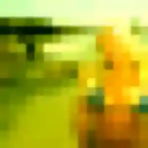 Neema, 31 ans, cherche un rencontre adulte à Allinges