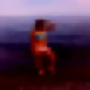 Sexy Gnilane, 29 ans à Amance - voir sa photo