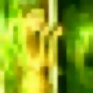 Ursule, 42 ans, disponible à Amancy pour une rencontre coquine