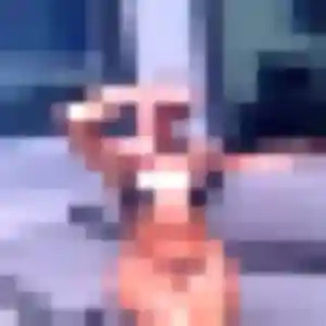 Yemisi de Ambazac, 22 ans - rencontre adulte discret