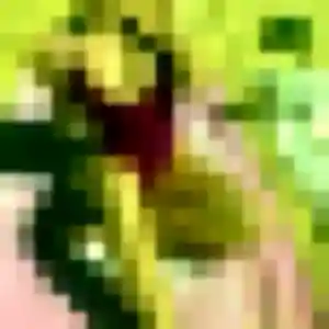 Safi de Ambilly, 19 ans - rencontre adulte sans lendemain