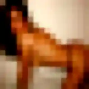 Contacte Naïma, 24 ans à Ambres en privé
