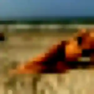 Charmante Xénia, 24 ans à Ambres - la contacter
