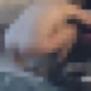 Soukeyna, 28 ans, en ligne à Ampus pour une rencontre coquine