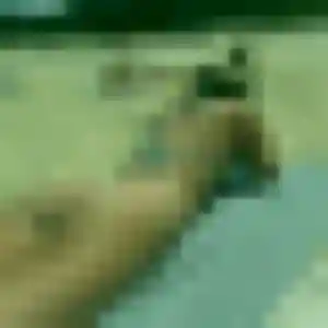 rencontre adulte à Ancelle : photo de Grâce, 43 ans - sans engagement