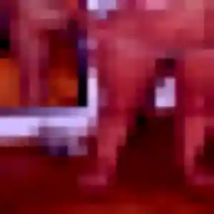 Jolie Sarjo, 40 ans à Andé - voir sa photo