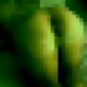 Aissatou (36 ans) à Andolsheim cherche une rencontre aujourd'hui