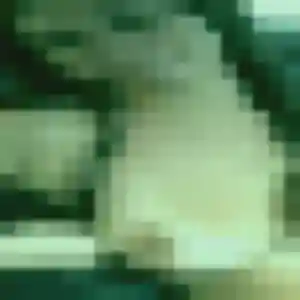 rencontre adulte à Angaïs : profil de Divine, 27 ans - accès libre