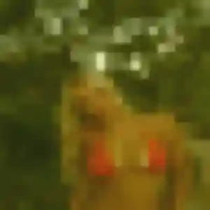 rencontre adulte à Angerville : photo de Nafi, 39 ans - sans engagement