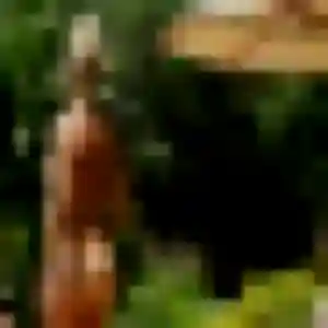 Profil de Yacine à Annezin (25 ans) - rencontre adulte gratuit