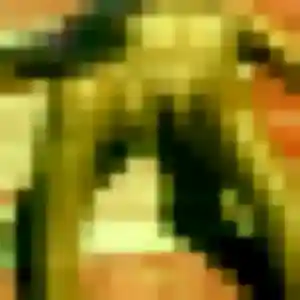 Photo de Ketsia à Arces (33 ans) - rencontre adulte anonyme