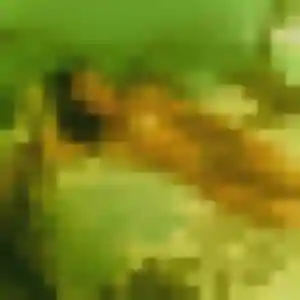 Rencontre Peace, 37 ans à Archigny en t'inscrivant