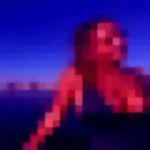 rencontre adulte à Arette : photo de Neneh, 31 ans - sans engagement