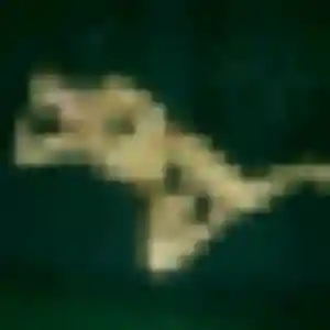 Profil de Wanjiku à Arnage (27 ans) - rencontre adulte anonyme