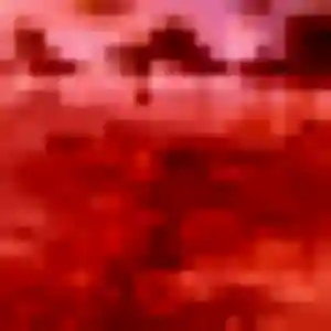 Profil de Abigail à Aromas (44 ans) - rencontre adulte gratuit