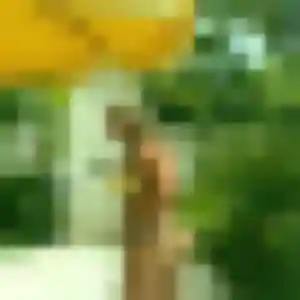 Profil de Fanta à Arradon (41 ans) - rencontre adulte anonyme