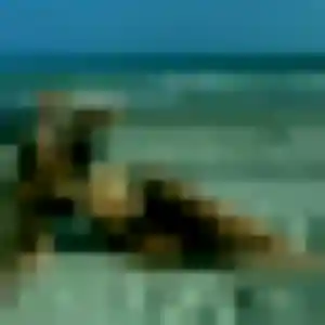 Contacte Yemisi, 22 ans à Arrest en privé