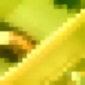 Folake, femme de 27 ans veut rencontre adulte à Arveyres