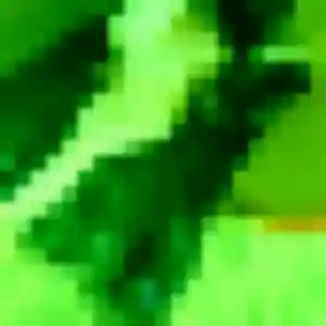 Efua de Asfeld, 20 ans - rencontre adulte discret