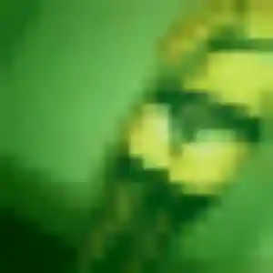 Photo de Neema à Aspiran (25 ans) - rencontre adulte anonyme