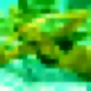 Jolie Tatu, 38 ans à Aubas - découvrir son profil