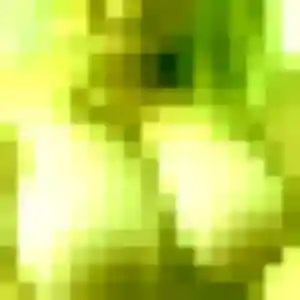 Photo privée de Bernadette, 41 ans à Aube - rencontre coquine