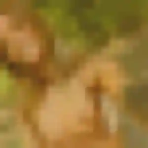 Photo perso de Stacy, 19 ans à Aubignan - rencontre coquine