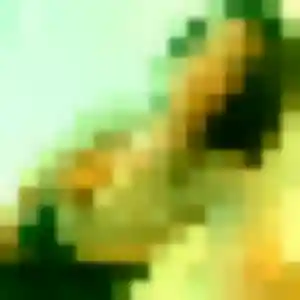 Photo de Daba à Aubusson (40 ans) - rencontre adulte gratuit