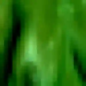 Maéva, 29 ans, en ligne à Aucaleuc pour une rencontre coquine