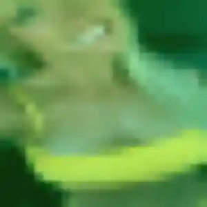 Profil de Promise à Augignac (19 ans) - rencontre adulte sans inscription