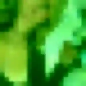 Jolie Latifa, 44 ans à Aulhat-Flat - la contacter