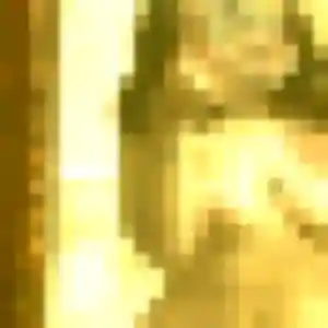 Photo perso de Priscilla, 40 ans à Aulnat - rencontre sans lendemain