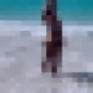 Photo de Tatu à Auvillers-les-Forges (34 ans) - rencontre adulte anonyme