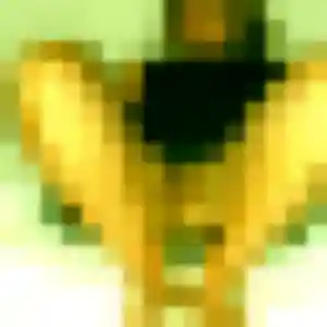 Photo de Amara à Avallon (37 ans) - rencontre adulte gratuit