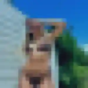 Photo de Bigué à Avensan (32 ans) - rencontre adulte sans inscription