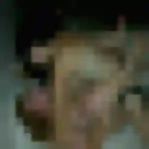 Zélie (34 ans) à Avermes propose une rencontre maintenant