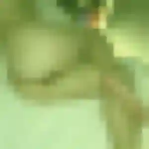Photo perso de Claudine, 45 ans à Avion - rencontre coquine