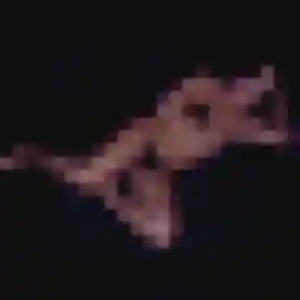 rencontre adulte à Avon : profil de Fanta, 33 ans - inscription gratuite