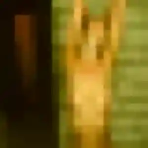 Contacte Amara, 22 ans à Azerables en t'inscrivant