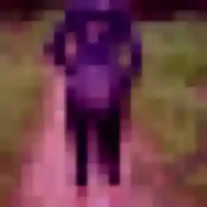 Photo privée de Ablavi, 23 ans à Bachant - rencontre sans lendemain