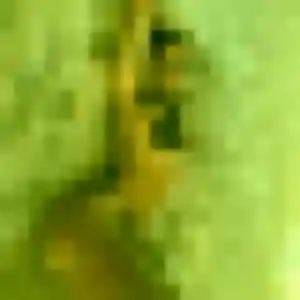 Photo de Toyin à Bâgé-Dommartin (29 ans) - rencontre adulte gratuit